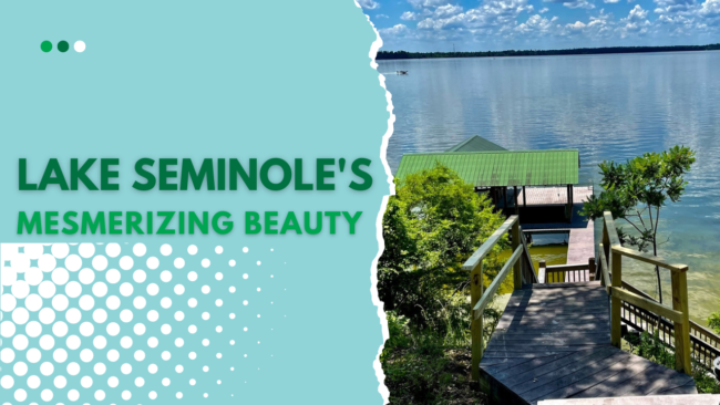 Lake Seminole’s