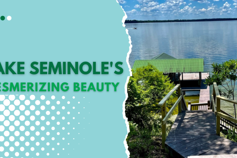 Lake Seminole’s