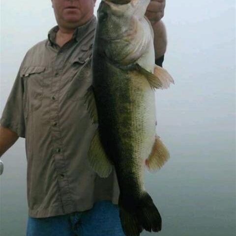 Lake Seminole bass fishing
