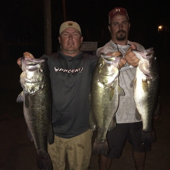 Lake Seminole bass fishing
