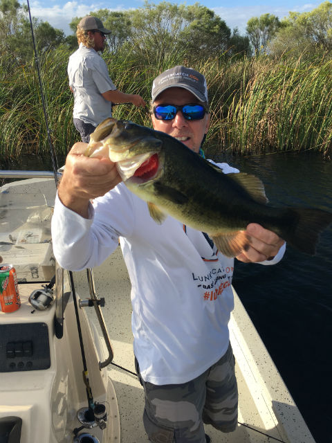 bass fishing in Lake Seminole
