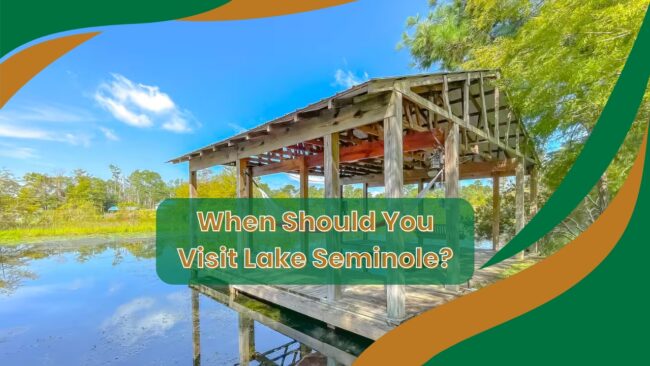 When Should You Visit Lake Seminole When Should You Visit Lake Seminole