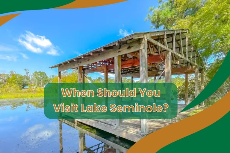 When Should You Visit Lake Seminole